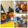 Najpiękniejsza dynia halloweenowa 24r